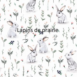 lapins de prairie